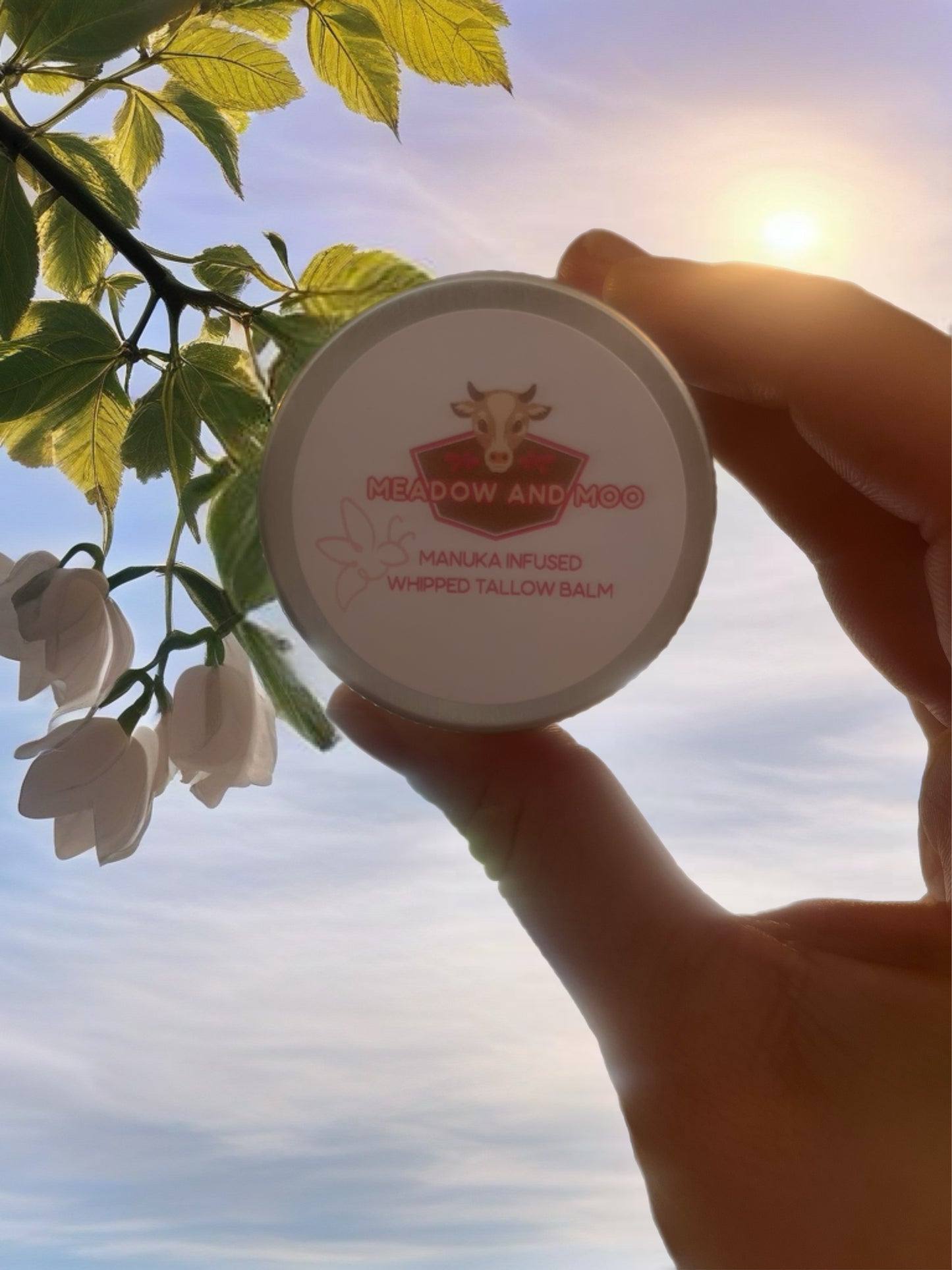 Sample -Manuka infused tallow balm 🫶🏻